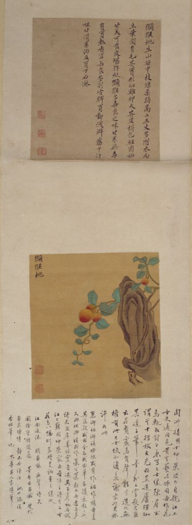 图片[2]-Zhou Shuxi and Zhou Shuhu flower and fruit picture screen-China Archive